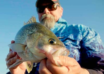 Bass — Lake Somerset, Queensland : A Fisherman’s Life