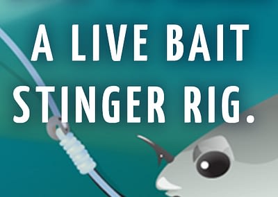 TACKLE TWEAK — Live Bait Stinger Rig