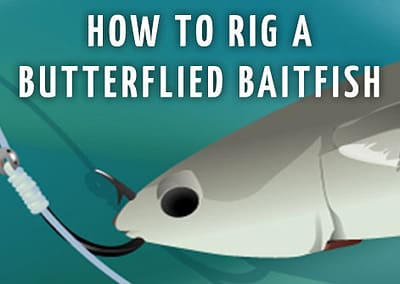 TACKLE TWEAK — How To Rig A Butterflied Baitfish