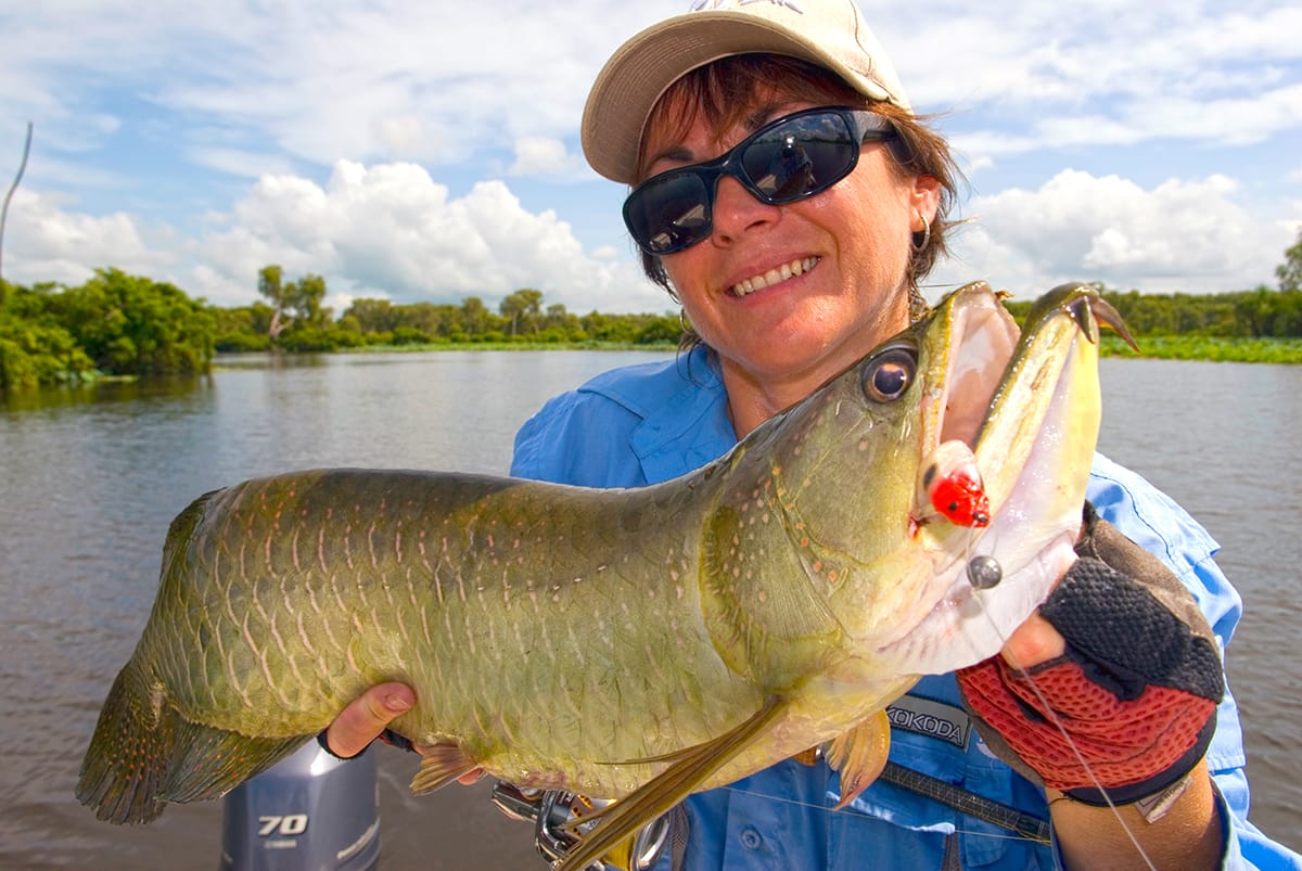 An angler with a saratoga caught on a soft plastic lure in Corroboree Billabing, NT.